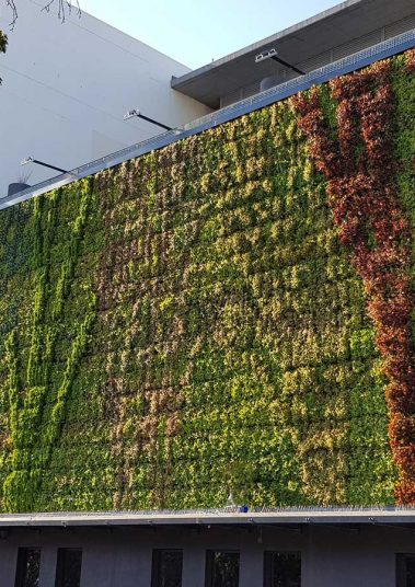 Electricity House Living Wall